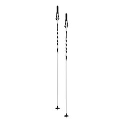 Swix I2 Pole – WHITE – Str. 1400 – Skistave